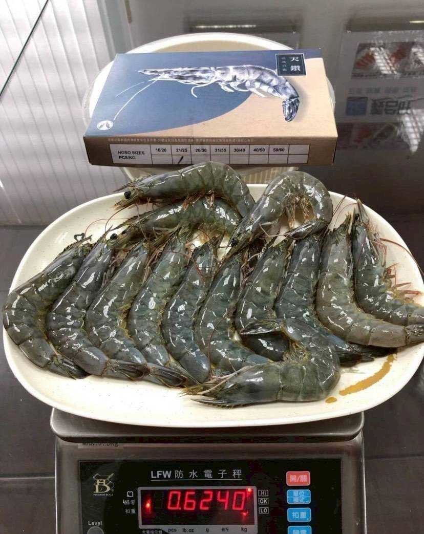 天鑽白蝦|急速冷凍留住鮮甜與彈性